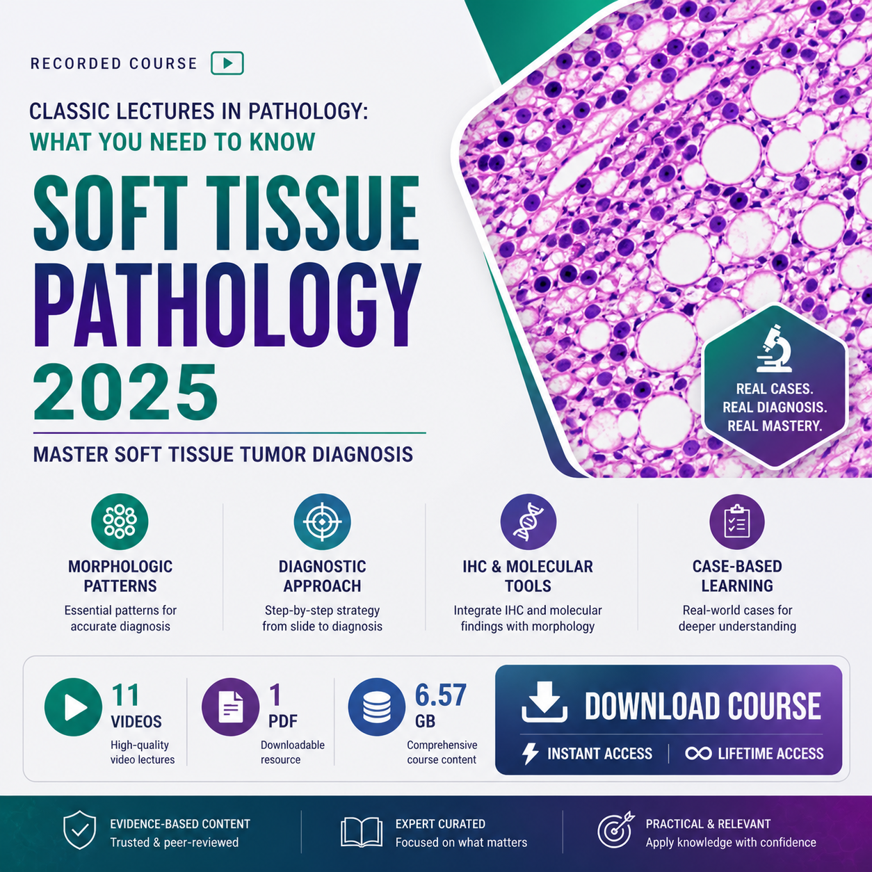 ChatGPT-Image-1-mai-2026-23_44_56.png Classic Lectures in Pathology: What You Need to Know : Soft Tissue Pathology 2025 - Image 1