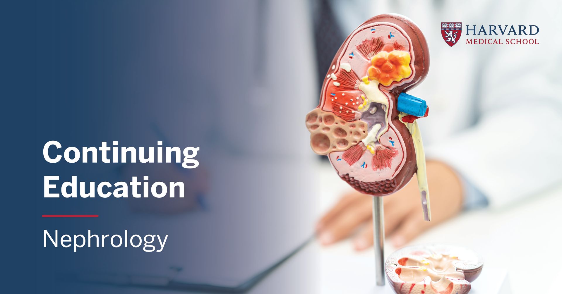 Harvard-Comprehensive-Updates-in-Nephrology-2024.jpeg Harvard Comprehensive Updates in Nephrology 2024 - Image 1