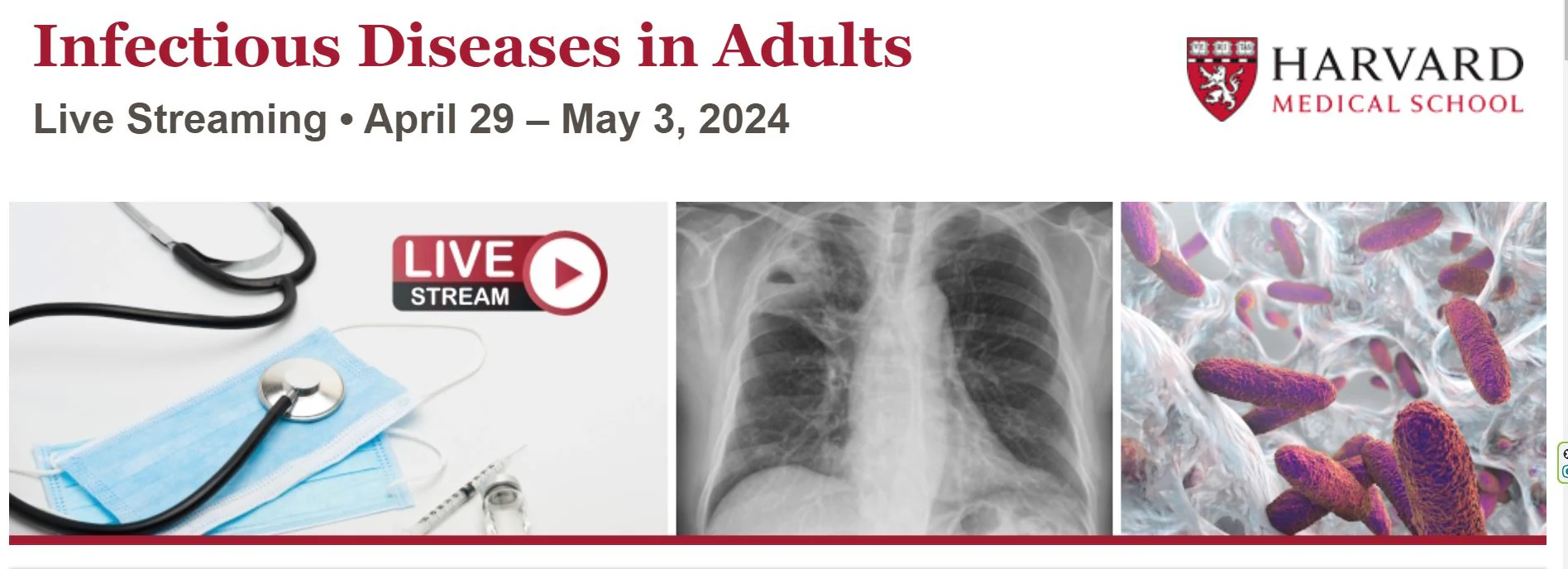 harvard-infectious-diseases-in-adults-2024-medical-video-courses-280324.webp Harvard Infectious Diseases In Adults 2024 - Image 1