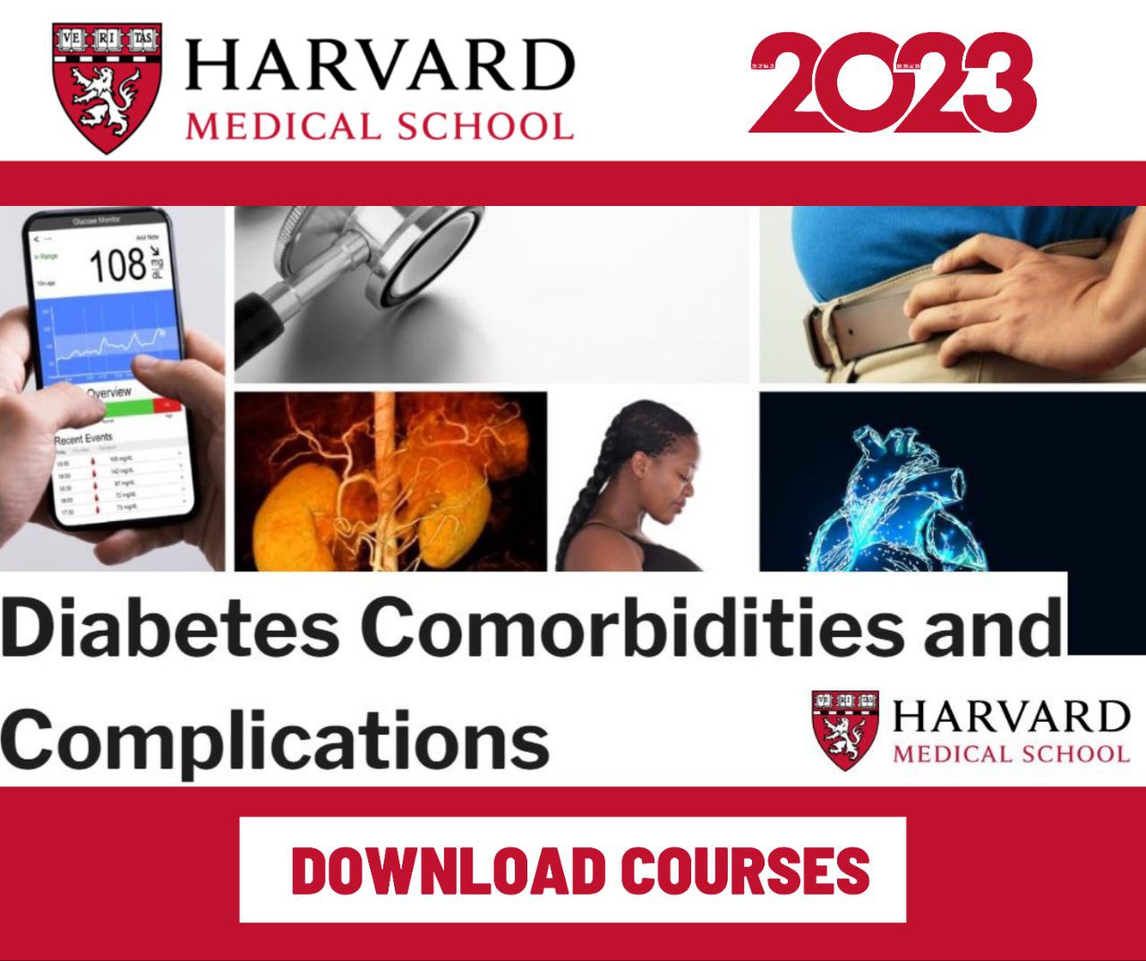 photo_2024-04-24_22-22-13.jpg Harvard Diabetes Comorbidities and Complications 2023 - Image 1