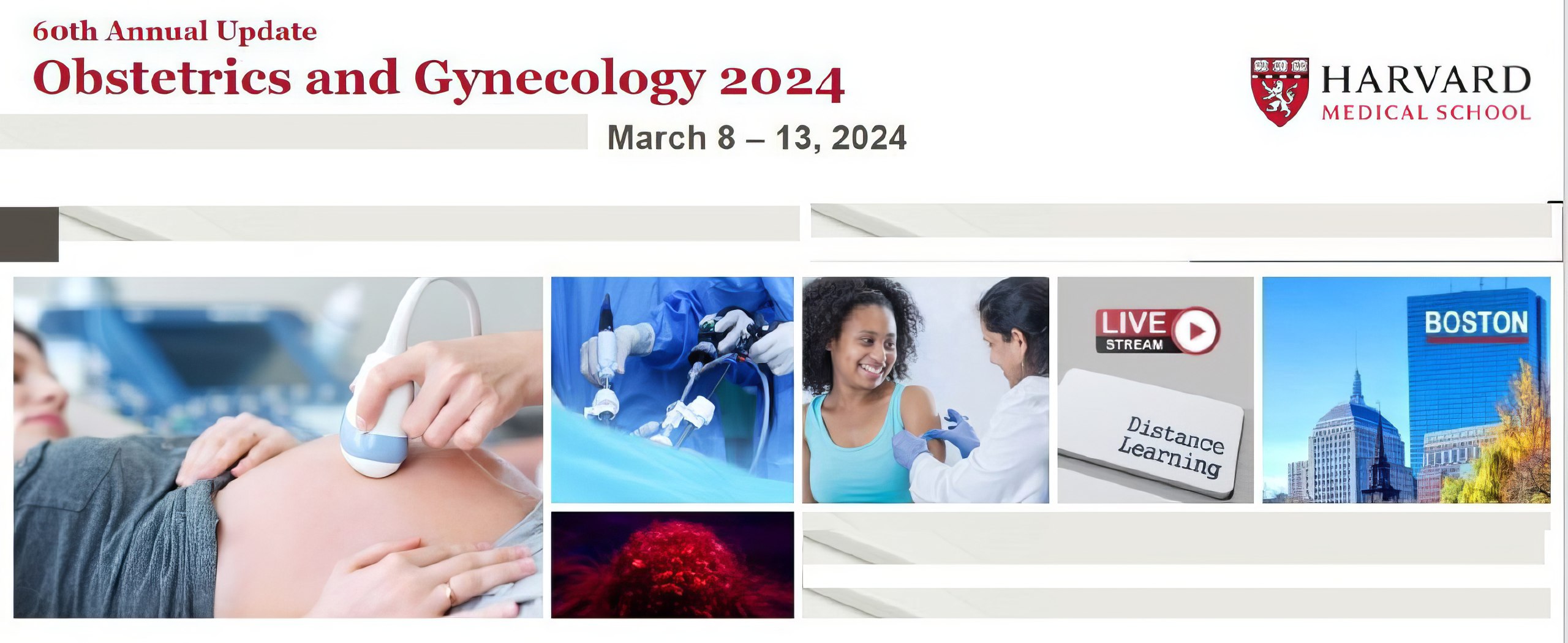 photo_2024-12-08_14-32-47.jpg Harvard 60th Annual Update Obstetrics and Gynecology 2024 - Image 1